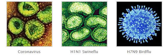 Coronavirus, H1N1 Swineflu, H7N9 Birdflu
